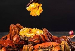 螃蟹热点爆料怎么做视频,揭秘视频制作背后的秘密