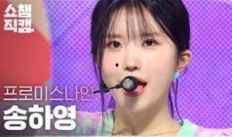 泰国最新消息爆料视频,神秘视频揭露惊人真相！