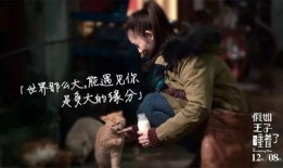 王子电影在线观看,一场视觉与情感的盛宴